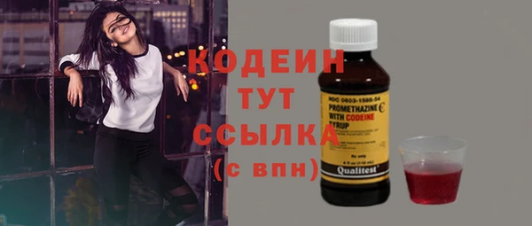 хмурый Гусев