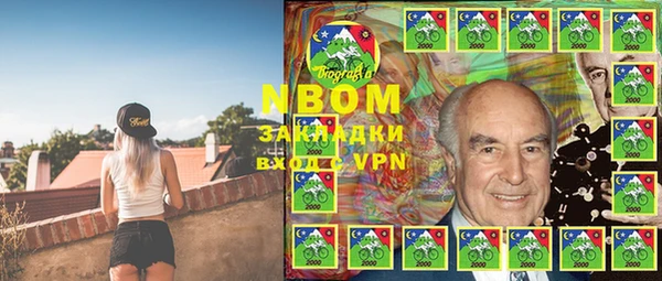 хмурый Гусев