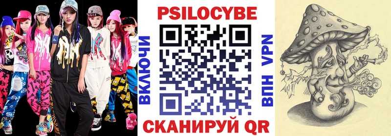 как найти наркотики  Гусиноозёрск  Псилоцибиновые грибы Cubensis 